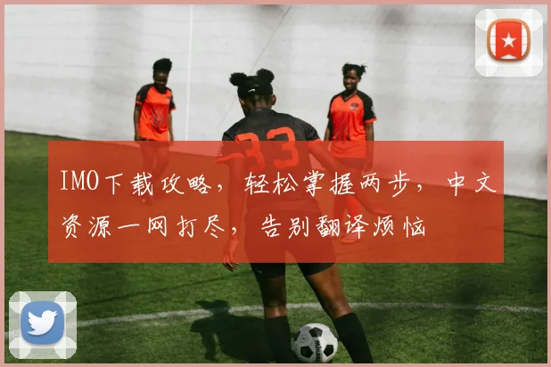 IMO下载攻略，轻松掌握两步，中文资源一网打尽，告别翻译烦恼