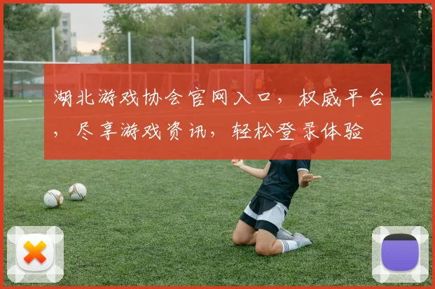 湖北游戏协会官网入口，权威平台，尽享游戏资讯，轻松登录体验