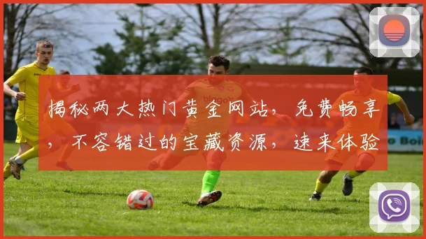 揭秘两大热门黄金网站，免费畅享，不容错过的宝藏资源，速来体验